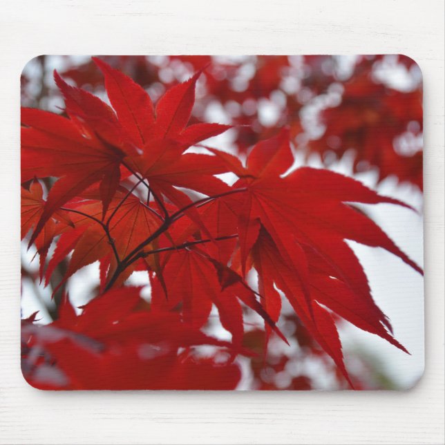 Mousepad Árvore mapeada japonesa (Frente)