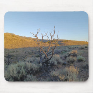 Mousepad Árvore morto no deserto de Nevada