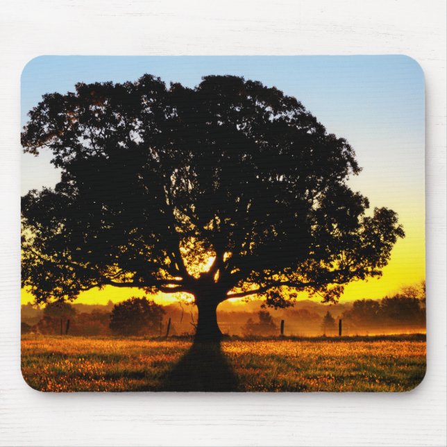 Mousepad Árvore na manhã (Frente)