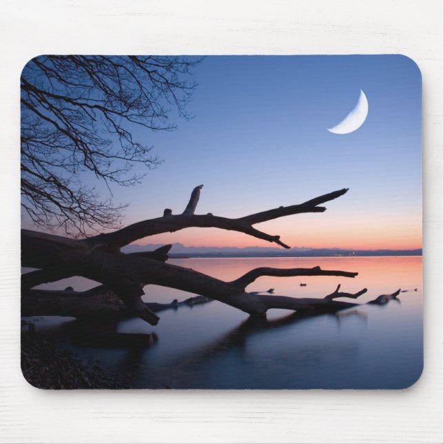 Mousepad Árvore no Lago Starnberg | Muensing Baviera Aleman (Frente)