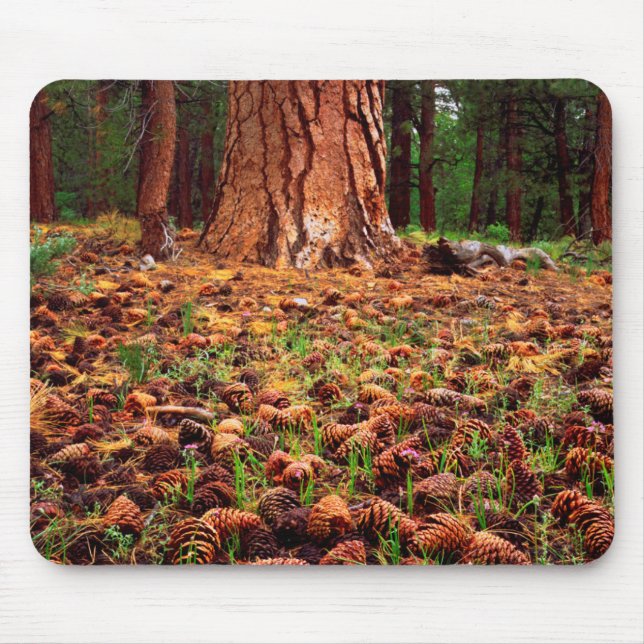 Mousepad Árvore Ponderosa madura com pinhas (Frente)