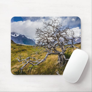 Mousepad Árvore queimada, Torres del Paine, Chile