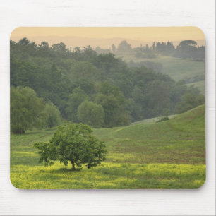 Mousepad Árvore solitária em campo agrícola, Toscana,