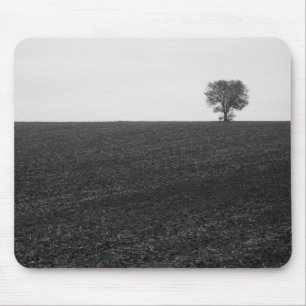 Mousepad árvore solitário