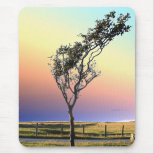 MOUSEPAD ÁRVORE ÚNICA