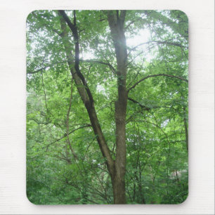 Mousepad Árvores