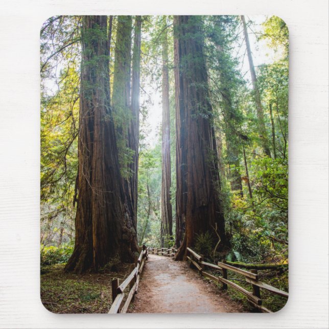 Mousepad Árvores altas (Frente)
