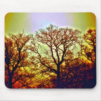 MOUSEPAD ÁRVORES COM SOL NEBULOSO
