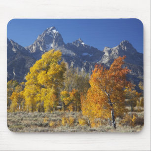 Mousepad Árvores de Aspen com a cordilheira Teton