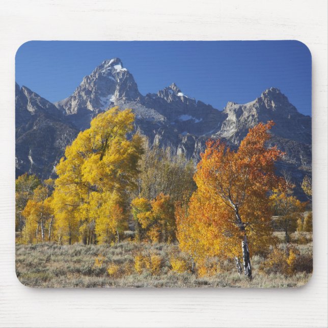 Mousepad Árvores de Aspen com a cordilheira Teton (Frente)
