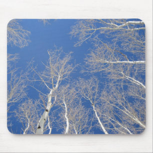 Mousepad Árvores de Aspen do inverno