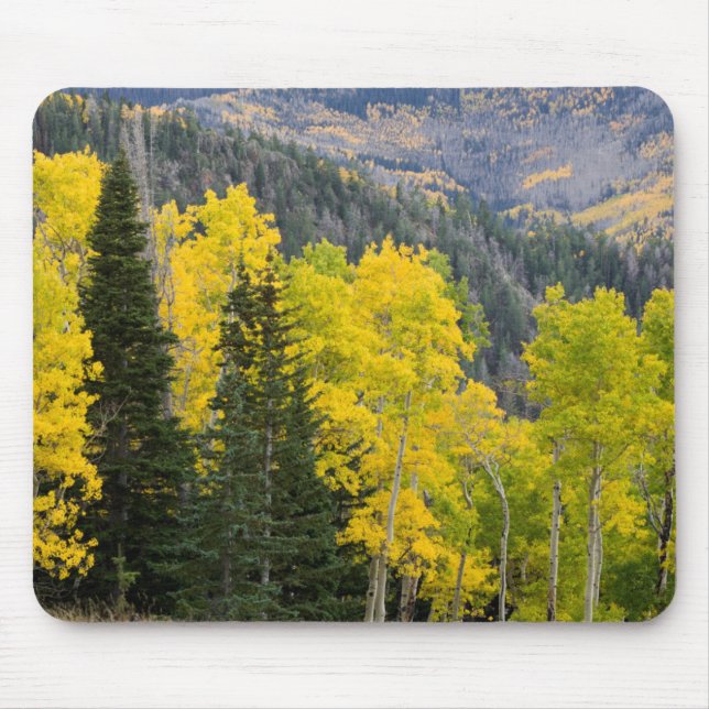 Mousepad Árvores de Aspen (Populus Tremuloides) e Coníferas (Frente)