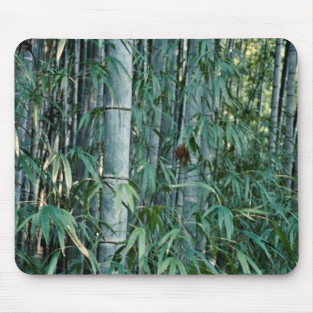 Mousepad Árvores de bambu, Kumamoto, Japão (Frente)