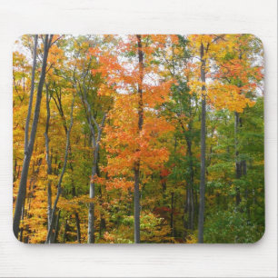 Mousepad Árvores de Bordo Outono Fotografia da Natureza