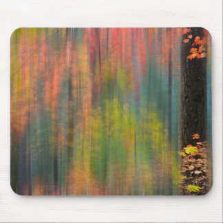 Mousepad Árvores de bordo | Parque Estadual Silver Falls