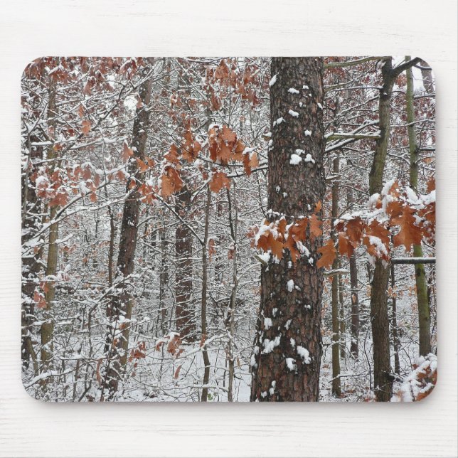 Mousepad Árvores de carvalho cobertas por neve Fotografia d (Frente)