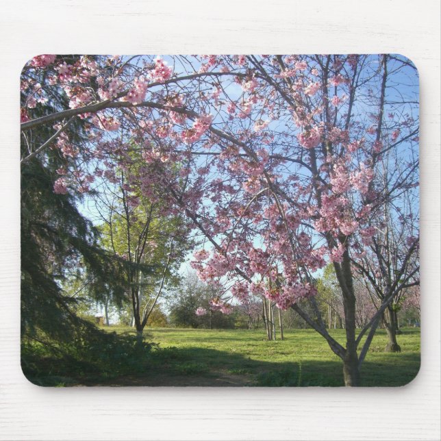 Mousepad Árvores de Cerejeira em Flor (Frente)