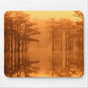 Mousepad Árvores de Cipreste Parque Estadual George Smith