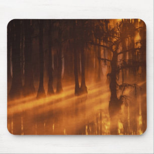 Mousepad Árvores de Impressão Parque Estadual George Smit