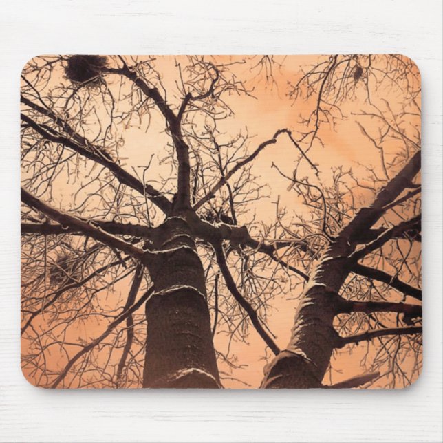 Mousepad Árvores De Inverno Em Baixo (Frente)