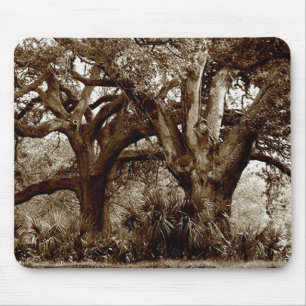Mousepad Árvores de Nova Orleães Live Oak