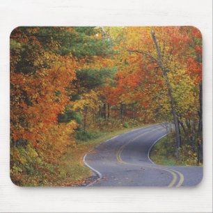 Mousepad Árvores de outono alinham a estrada no Parque Esta