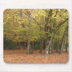 Mousepad Árvores do outono