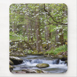 Mousepad Árvores Dogwood Grande Montanha Fumegante, Tenne
