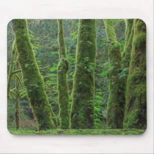 Mousepad Árvores e Ferns do Mapeamento do Folha Estado de
