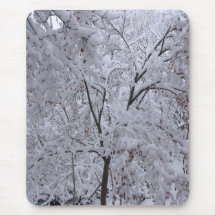 Árvores em Carga de Neve