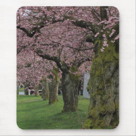 Mousepad Árvores floridas de cerejeira na primavera