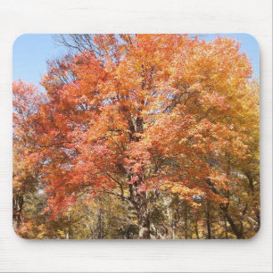 Mousepad Árvores Laranja