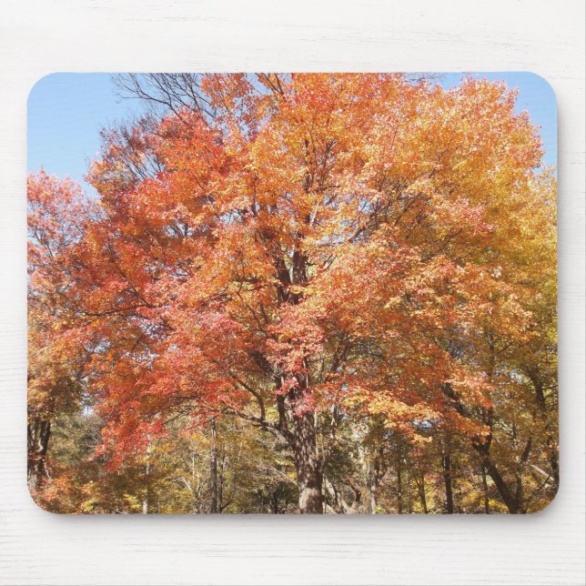 Mousepad Árvores Laranja (Frente)