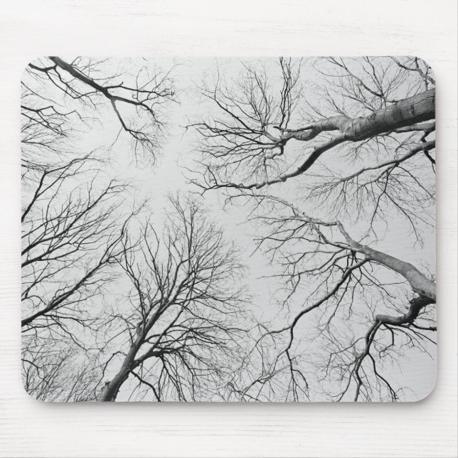 Mousepad Árvores Leafless na madeira de Thiepval (Frente)