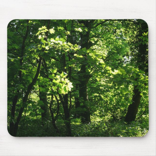 Mousepad Árvores na Primavera. Bute Park, Cardiff. Gales (Frente)