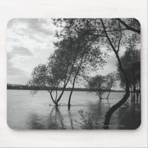 Mousepad Árvores no lago
