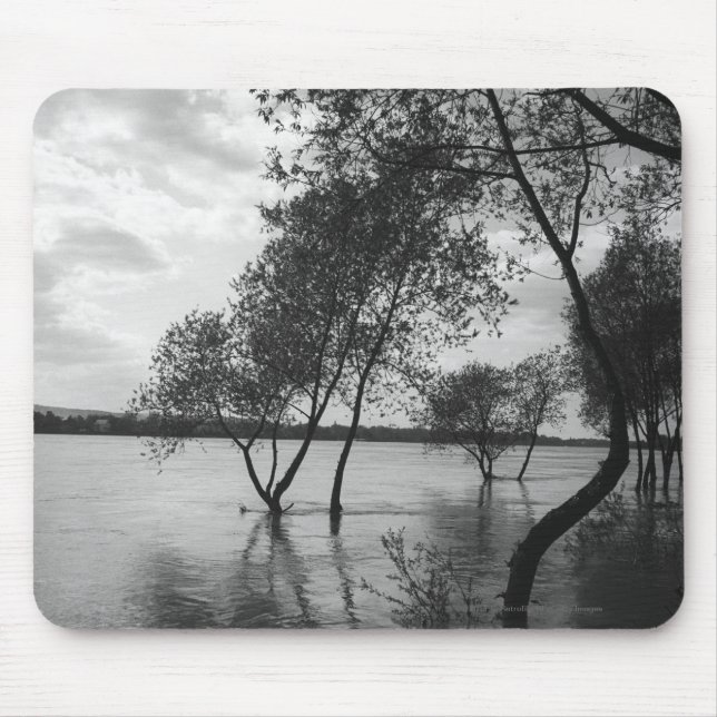 Mousepad Árvores no lago (Frente)