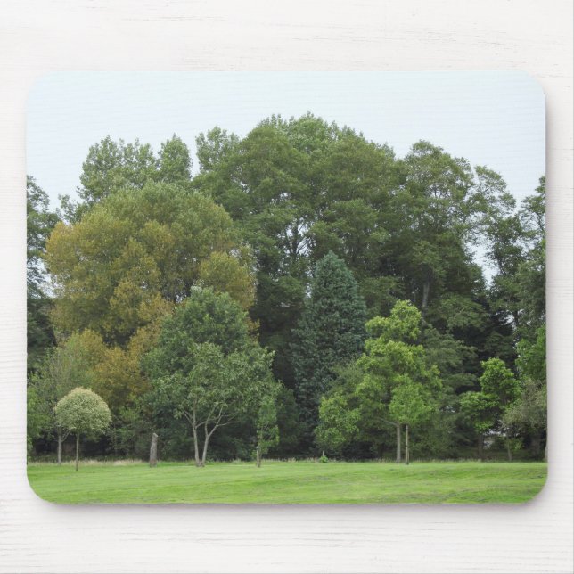 Mousepad Árvores no Parque Bute, Cardiff (Frente)