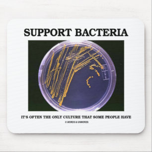 Mousepad As bactérias do apoio cultivam frequentemente