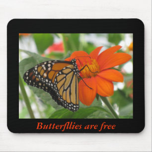 Mousepad As borboletas estão livres