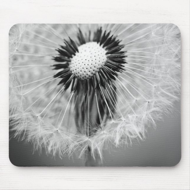 Mousepad As Sementes do Amanhã (Frente)