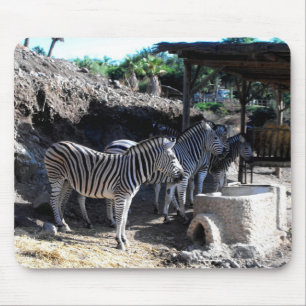 Mousepad As zebras de Chapman