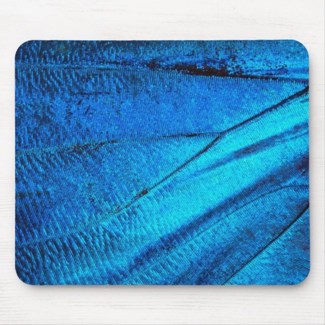 Mousepad Asa Azul Iridescente da Borboleta (Frente)
