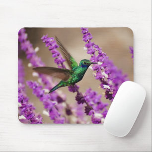 Mousepad Asas do colibri das Violeta-orelhas Sparkling da