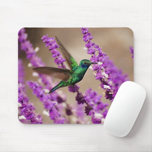Mousepad Asas do colibri das Violeta-orelhas Sparkling da (Com mouse)