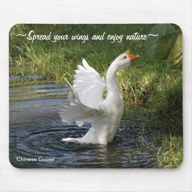 Mousepad Asas flapeadas de ganso branco chinês (Frente)