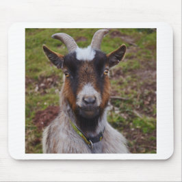 Mousepad Ascendente próximo da cabra