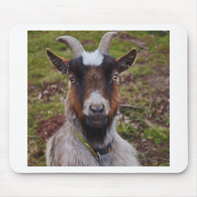 Mousepad Ascendente próximo da cabra (Frente)