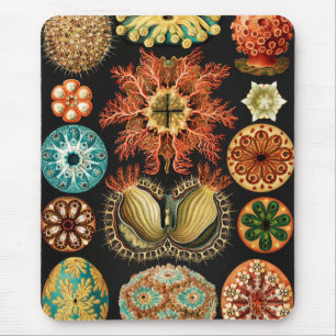 Mousepad Ascidiae, Seescheiden Marine Life por Ernst Haecke