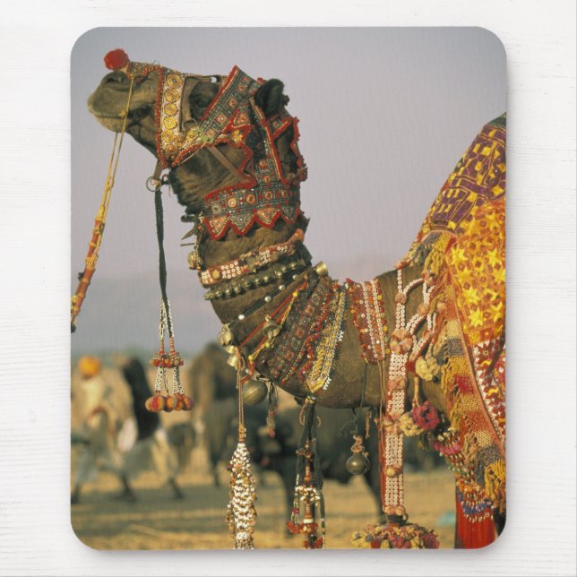 Mousepad Ásia, Índia, Pushkar. Camel Shamu , Pushkar (Frente)